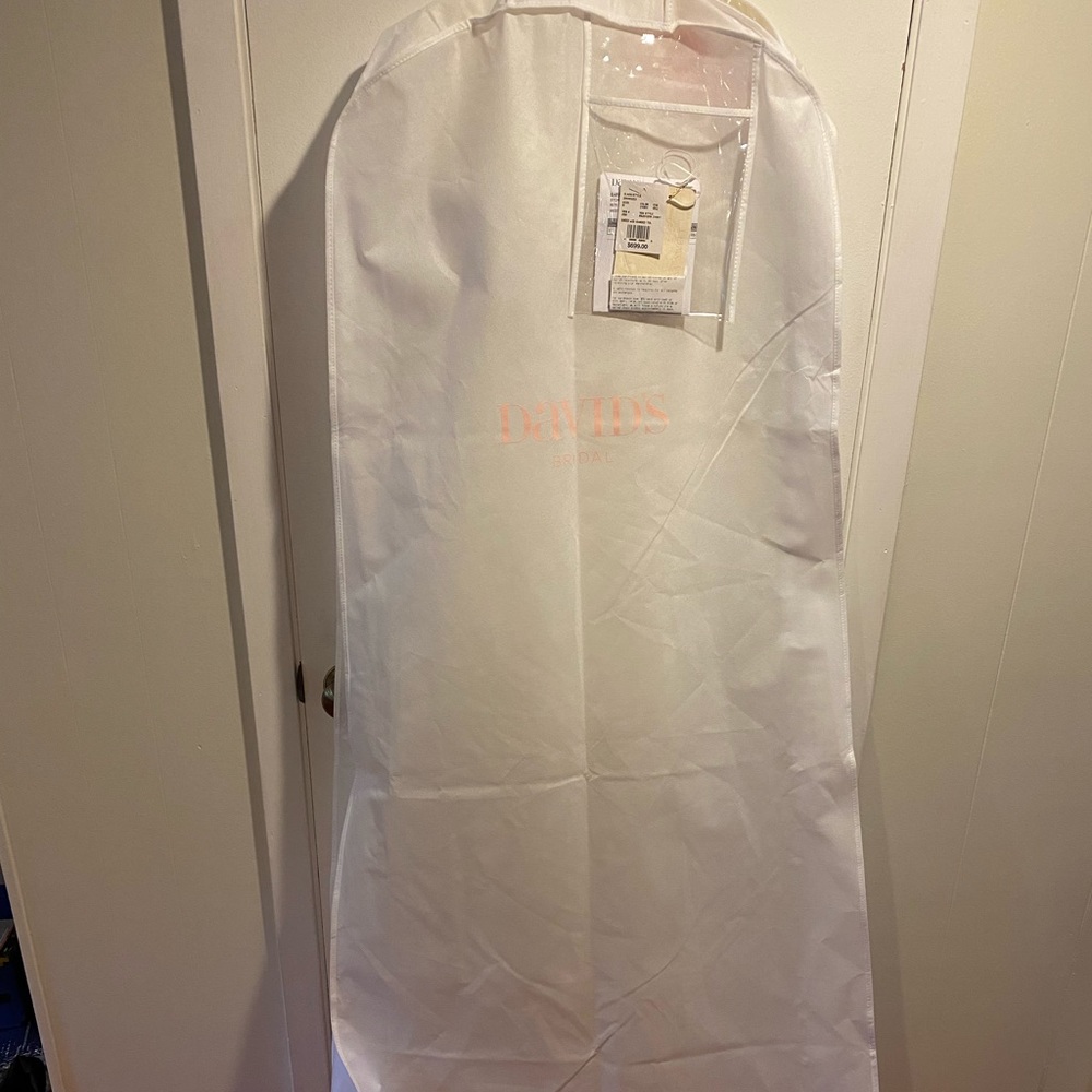 Sheer Bod Banded Tulle ALine Ivory Wedding Gown - Picture 2 of 5